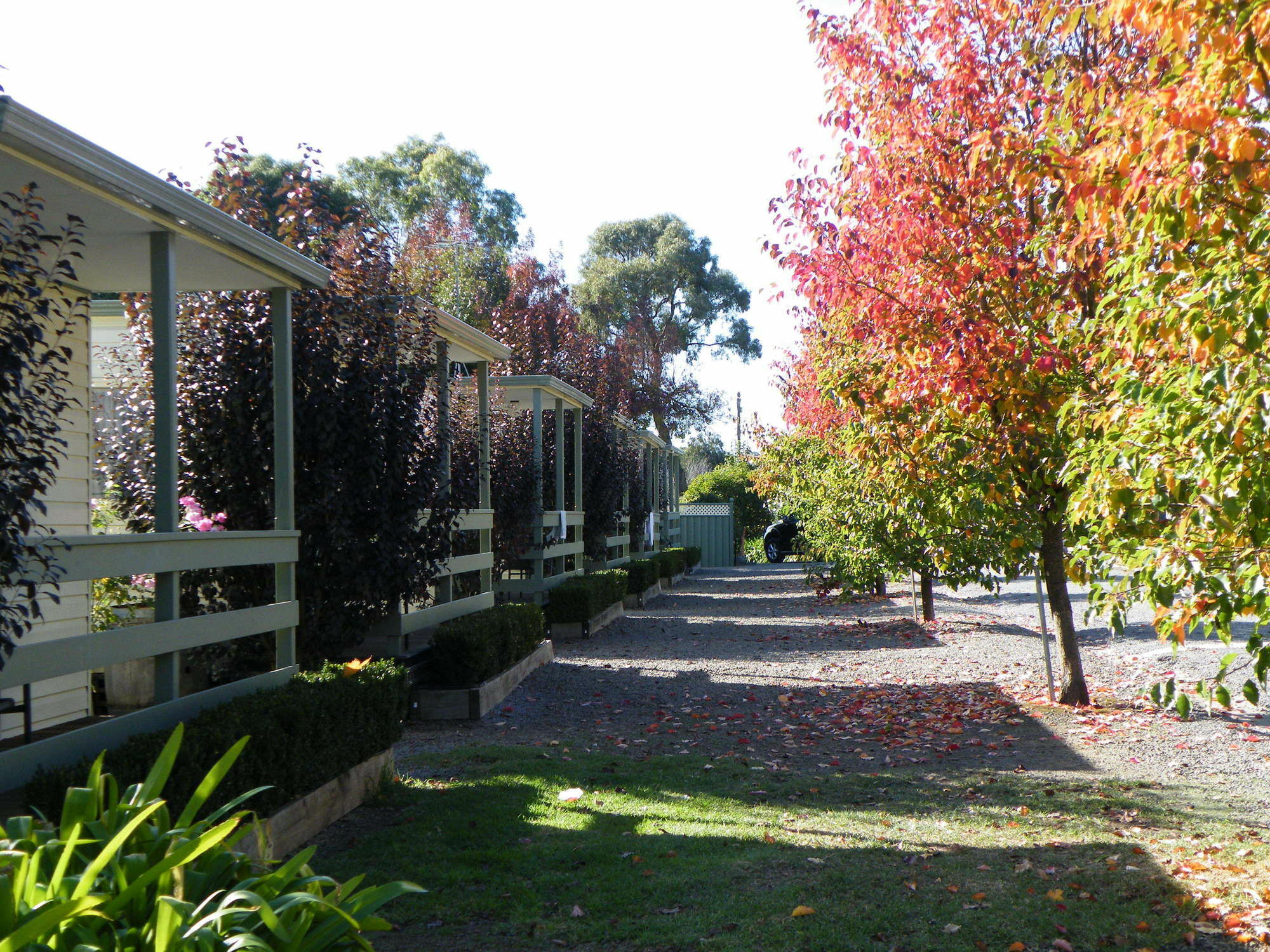 Lake Hamilton Motor Village And Caravan Park المظهر الخارجي الصورة