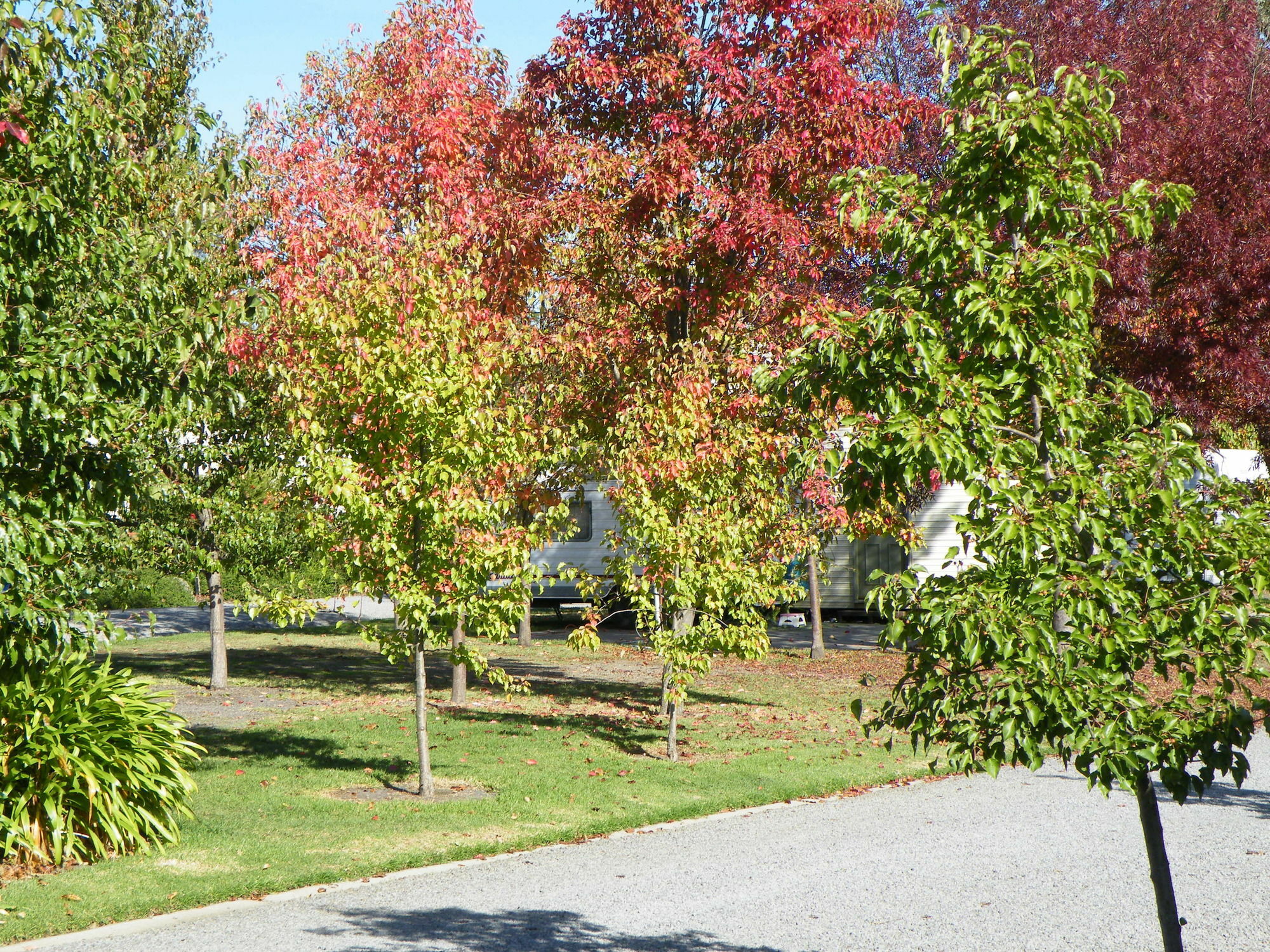 Lake Hamilton Motor Village And Caravan Park المظهر الخارجي الصورة
