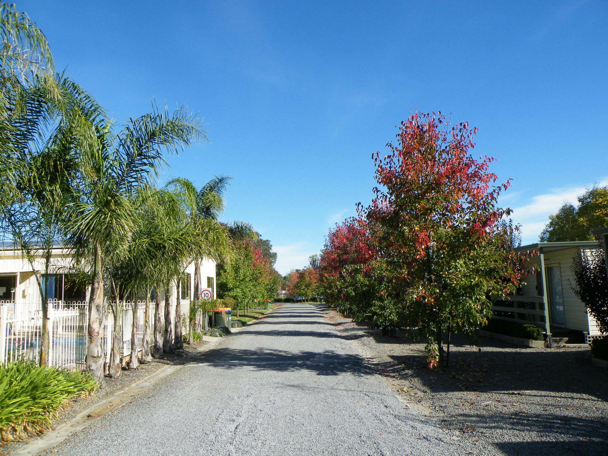 Lake Hamilton Motor Village And Caravan Park المظهر الخارجي الصورة